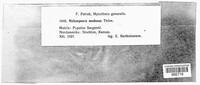Image Associated With the Occurence
